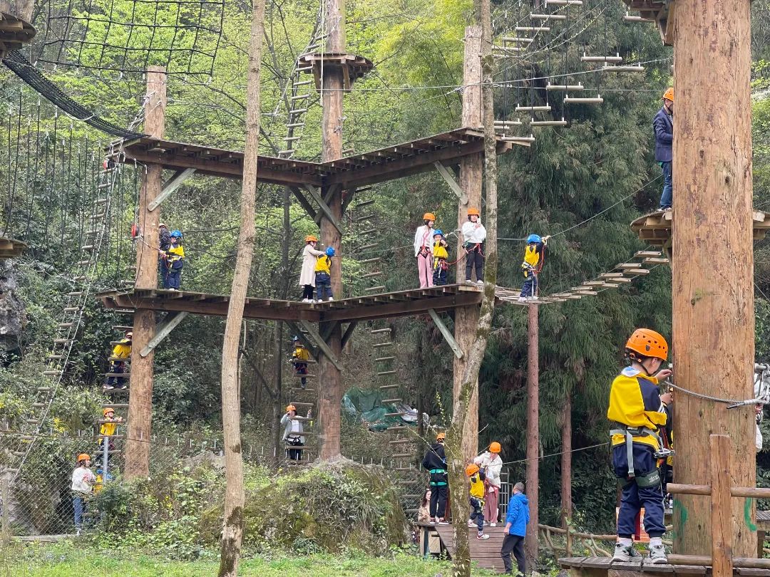 生态徒步探险,绿意盎然的运动体验 生态徒步探险,绿意盎然的运动体验