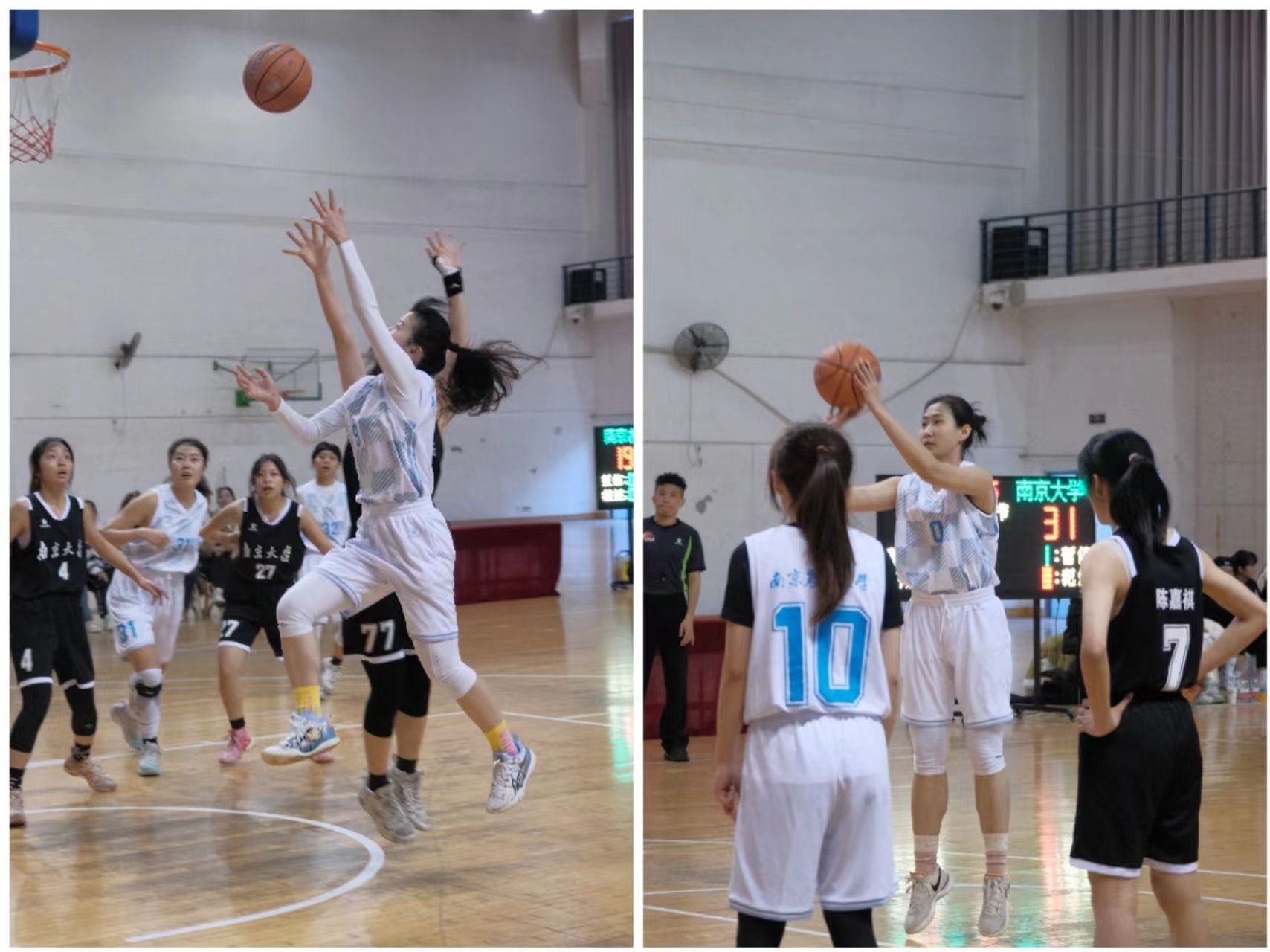 星空体育官方网站-篮球运动文化融入高校，打造多元化体育生态体系的简单介绍