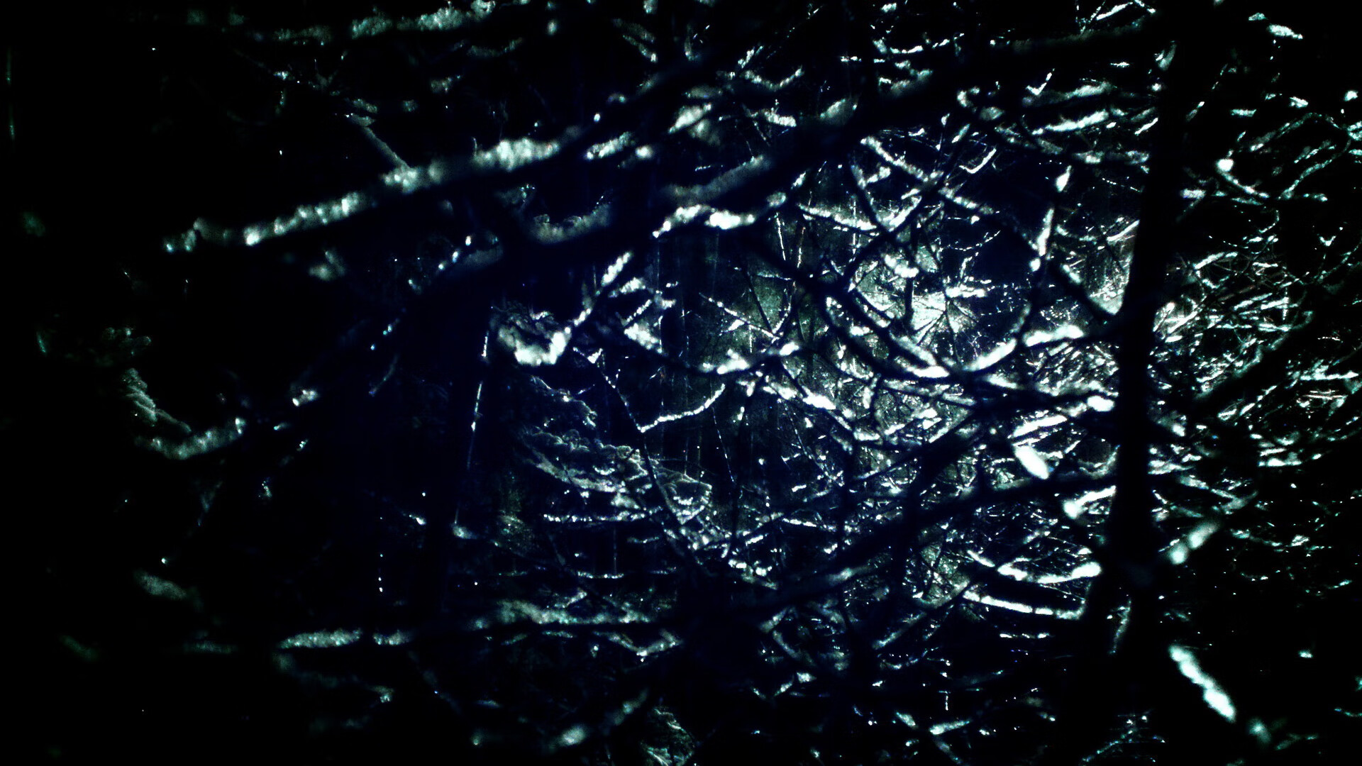 《太阳球迷期待球队在休赛期进行积极操作》,太阳球迷叫什么