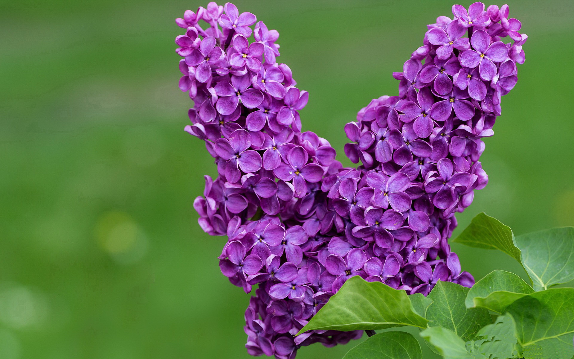 星空体育首页-电竞战队跨平台内容合作及粉丝互动新模式，游戏电竞战队