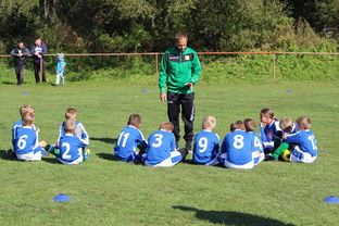 星空官网-德甲球队构建战术模拟平台提升临场应变能力，德甲模式