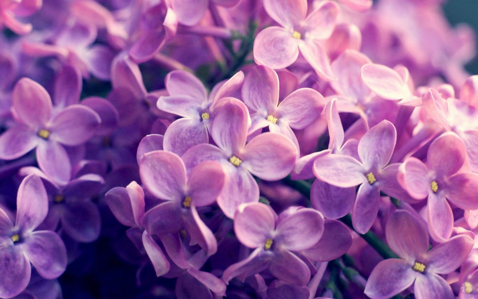 意甲赛季中期战术板调整对胜率的关键作用,意甲新赛季比赛用球