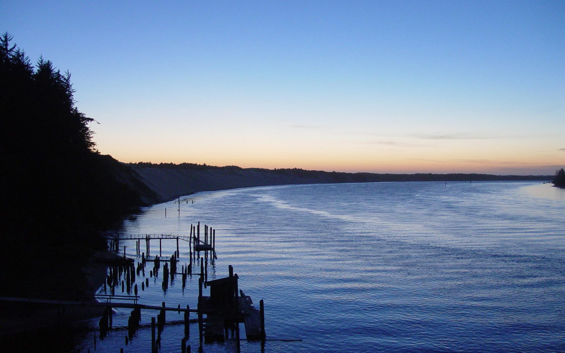 张伟丽获评最佳技术型选手，张伟丽技术特点分析