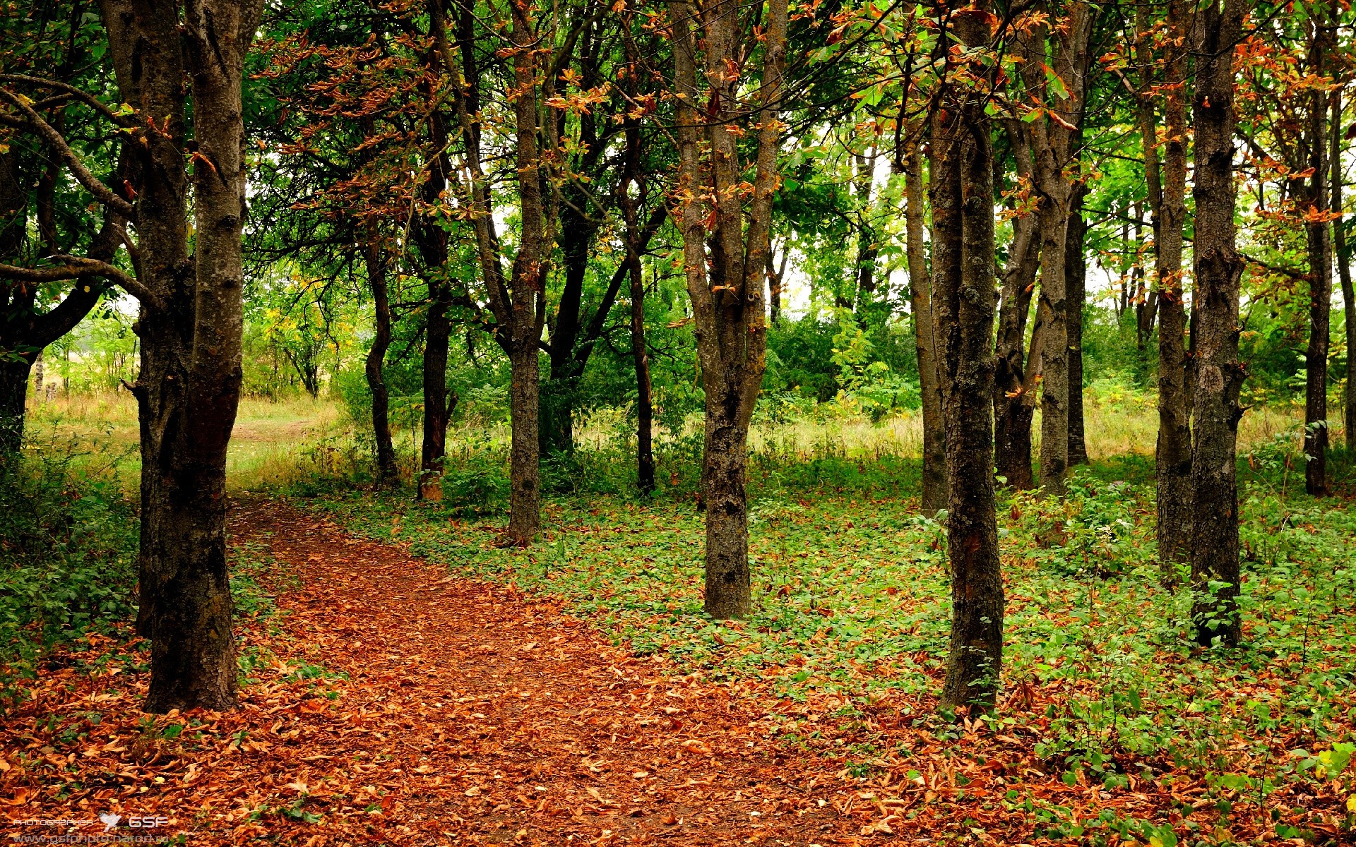 未来足球比赛将实现全景直播,球迷无需佩戴VR设备也能沉浸其中,vr看足球比赛