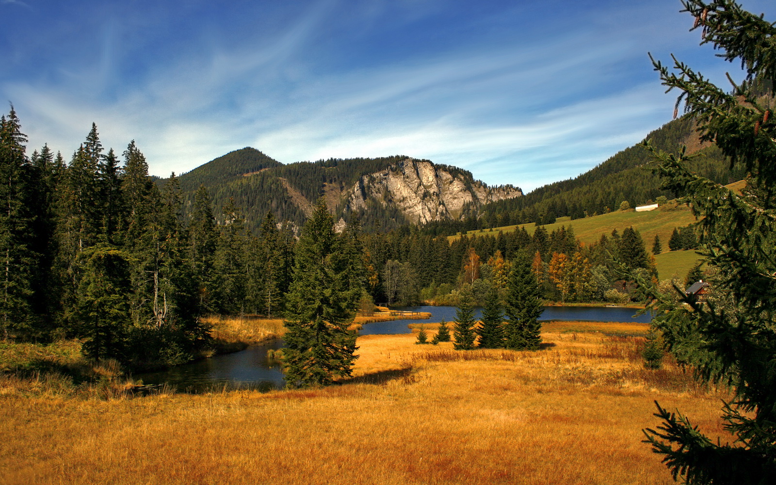 星空体育入口-皮特·斯图斯帮助南非羚羊队捍卫防线，贡献无可替代，斯徒皮特