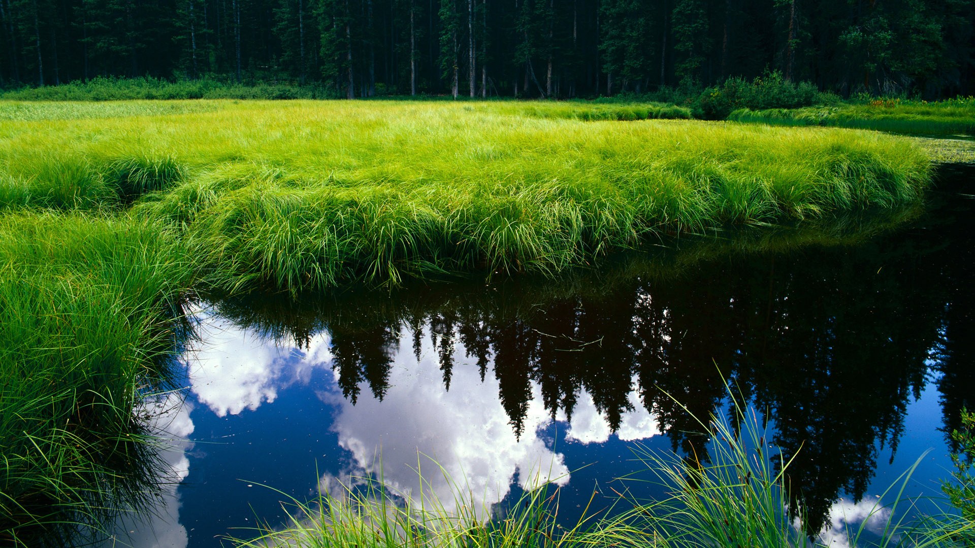 星空体育中国官网-美洲杯星光闪耀：个人突破助球队夺冠！，美洲杯冠军之路